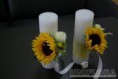 /album/fotogaleria-girasoles/images-19-jpg/